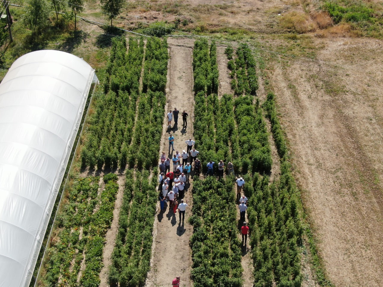 SHBO has just established the Community Seed Bank-Korca to avoid the risk of extinction.