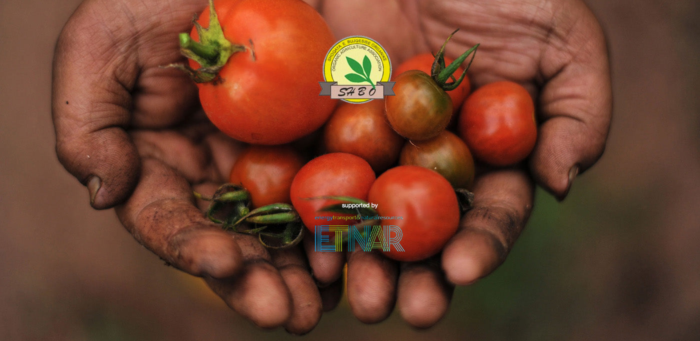 The Challenges of Organic Albania